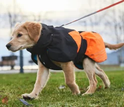 Non-stop dogwear Mehr Hundezubehör - Hunde-Wintermantel Glacier jacket 2.0, /