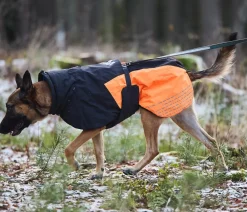 Non-stop dogwear Mehr Hundezubehör - Hunde-Wintermantel Glacier jacket 2.0, /