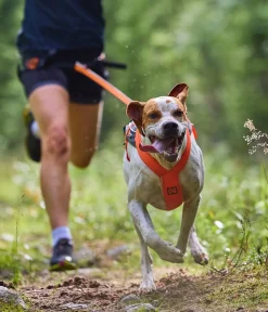 Non-stop dogwear Hunde-Zuggeschirr Freeotion harness 5.0, /