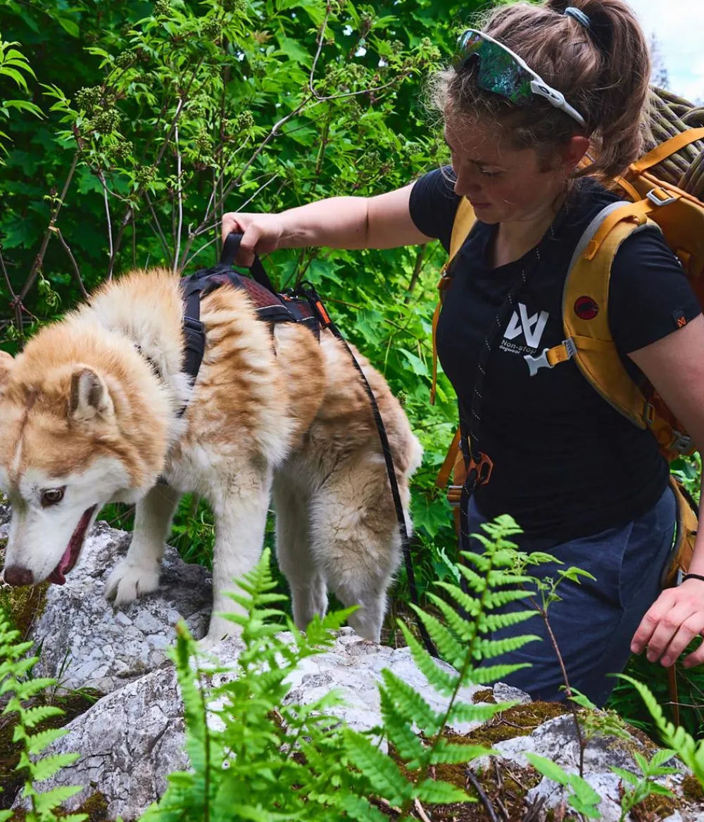 Non-stop dogwear Hundehalsbänder & Geschirre - Mehrzweck-Hundegeschirr Rock harness long, /
