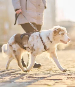 Non-stop dogwear Hundehalsbänder & Geschirre - Mehrzweck-Hundegeschirr Rock harness long, /