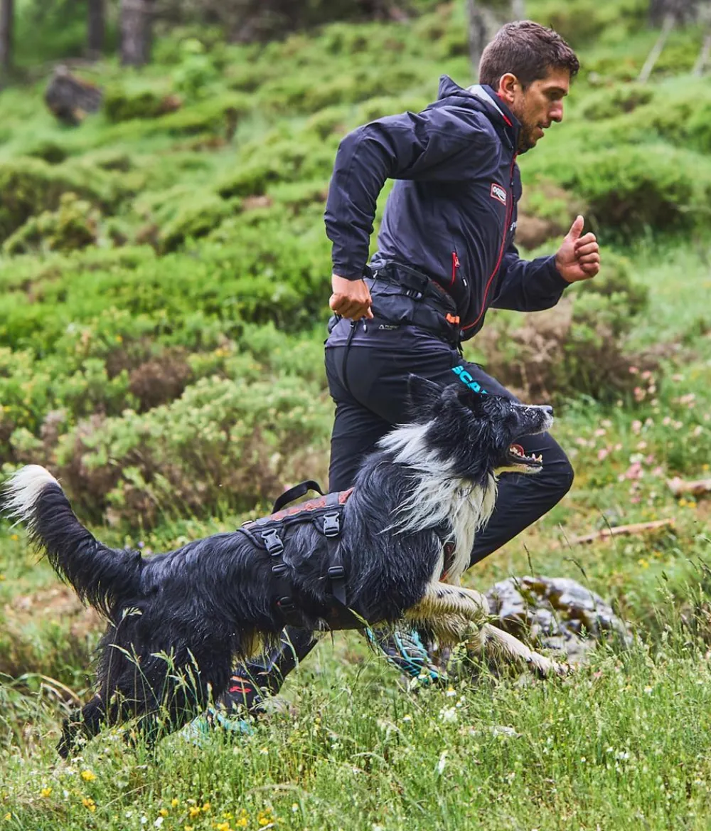 Non-stop dogwear Hundehalsbänder & Geschirre - Mehrzweck-Hundegeschirr Rock harness long, /