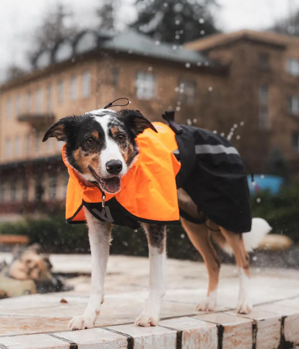 Non-stop dogwear Regenmantel Fjord raincoat 2.0, schwarz/ Orange Sale