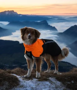 Non-stop dogwear Regenmantel Fjord raincoat 2.0, schwarz/ Orange Sale