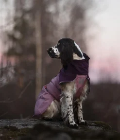 Non-stop dogwear Regenmantel Fjord raincoat 2.0, violett Lila Clearance