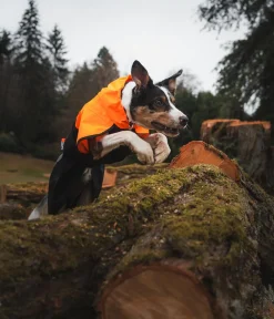 Non-stop dogwear Mehr Hundezubehör - Regenmantel Fjord raincoat 2.0, schwarz/ Orange