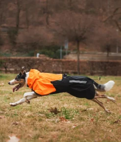 Non-stop dogwear Mehr Hundezubehör - Regenmantel Fjord raincoat 2.0, schwarz/ Orange