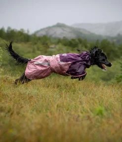 Non-stop dogwear Mehr Hundezubehör - Regenmantel Fjord raincoat 2.0, violett Lila