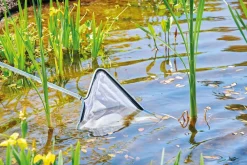 Oase Gartenteich·Teichzubehör & Teichpflege|Teichzubehör & Teichpflege - Algenkescher extrafein