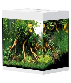 Oase Einzel Aquarien > Aquarium StyleLine 85