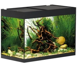 Oase Einzel Aquarien > Aquarium StyleLine 125