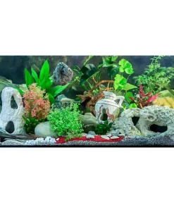 ORBIT® Deko|Terrarium Zubehör > Orbit Finger Wurzel XS, ca. B15-20 cm