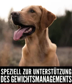 Orijen ™ Trockenfutter für Hunde Fit & Trim Hot
