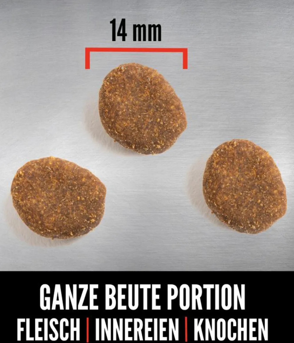 Orijen Trockenfutter Hund > ™ Trockenfutter für Hunde Regional Red