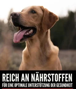 Orijen Trockenfutter Hund - ™ Trockenfutter für Hunde Original