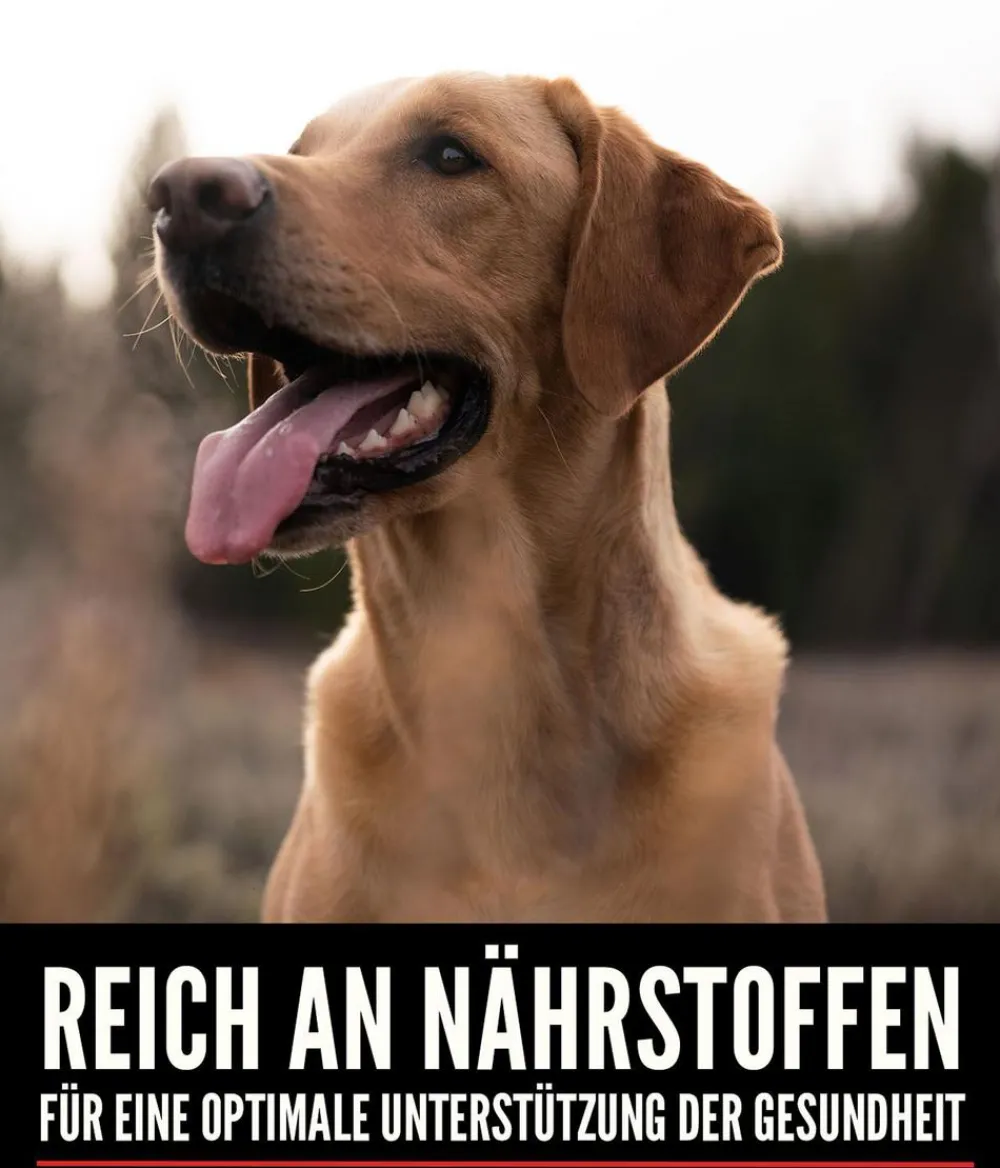 Orijen ™ Trockenfutter für Hunde Senior