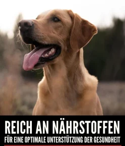 Orijen Trockenfutter Hund > ™ Trockenfutter für Hunde Tundra