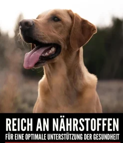 Orijen Trockenfutter Hund - ™ Trockenfutter für Hunde Six Fish