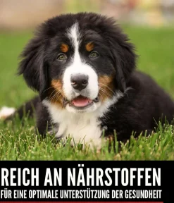 Orijen Trockenfutter Hund - ™ Trockenfutter für Hunde Puppy