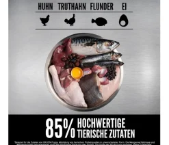 Orijen Trockenfutter Hund > ™ Trockenfutter für Hunde Small Breed Puppy
