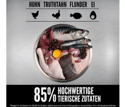 Orijen Trockenfutter Katze > ™ Trockenfutter für Katzen Kitten