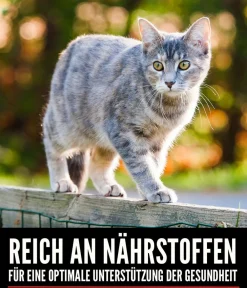 Orijen Trockenfutter Katze > ™ Trockenfutter für Katzen Regional Red