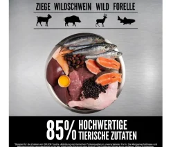 Orijen Trockenfutter Katze > ™ Trockenfutter für Katzen Tundra