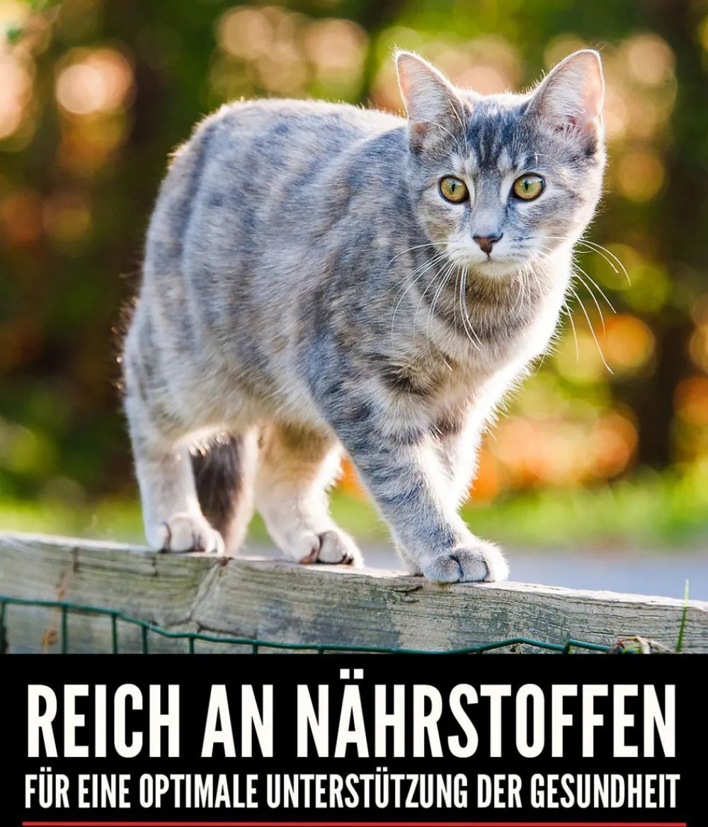 Orijen ™ Trockenfutter für Katzen Regional Red Hot