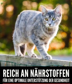 Orijen ™ Trockenfutter für Katzen Six Fish Best