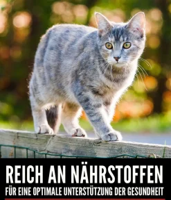 Orijen Trockenfutter Katze - ™ Trockenfutter für Katzen Tundra