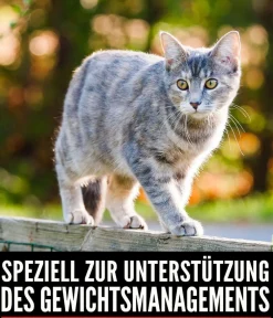 Orijen ™ Trockenfutter für Katzen Fit & Trim Clearance