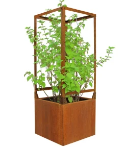 palatino Hochbeete & Frühbeete - Cortenstahl-Pflanzkübel Clara mit Rankkäfig, quadratisch, , ca. B60/H163/T60 cm Braun