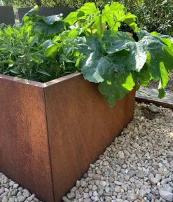 palatino Pflanzkübel & Blumenkästen|Blumentöpfe & Übertöpfe > Cortenstahl-Pflanzgefäß Clara, ca. B80/H50/T80 cm