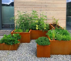 palatino Pflanzkübel & Blumenkästen|Blumentöpfe & Übertöpfe > Cortenstahl-Pflanzgefäß Clara, ca. B80/H50/T80 cm