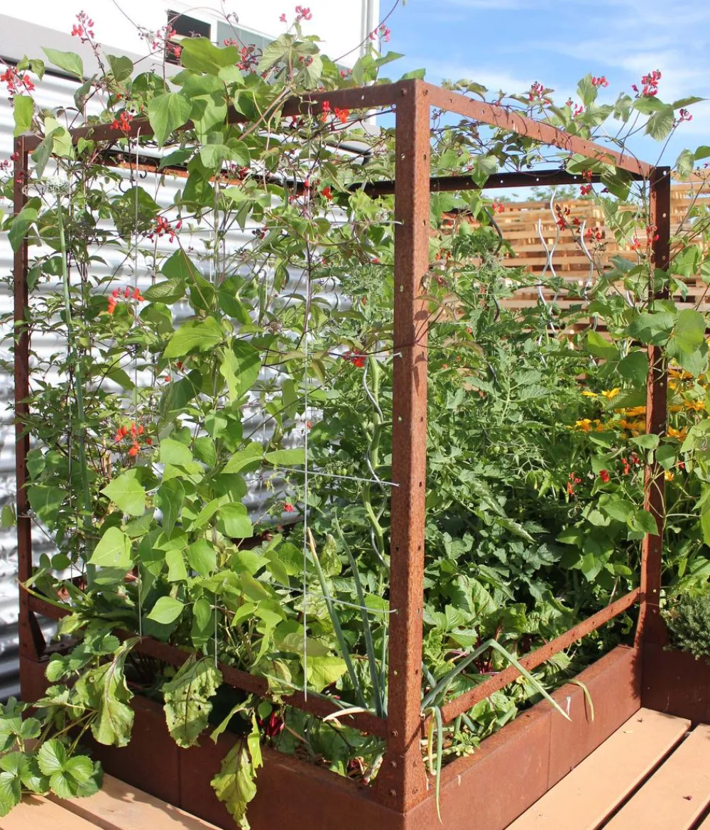 palatino Hochbeete & Frühbeete - Cortenstahl-Tomatenhaus, , ca. B100/H183/T100 cm Braun