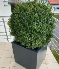 palatino Pflanzkübel & Blumenkästen|Hochbeete & Frühbeete - Metall-Pflanzgefäß Nora, quadratisch, Anthrazit
