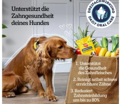 Pedigree® Hundeleckerlies|Funktionelle Leckerlies - Hundesnack Dentastix Daily Oral Care, mittlere Hunde