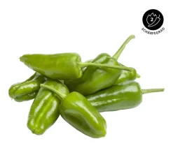 Dehner Peperoni- & Paprikapflanzen - Peperoni 'Pimientos de padron' Grün