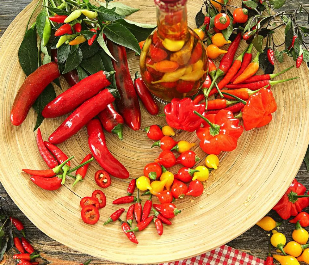 Dehner Peperoni- & Paprikapflanzen - Peperoni 'Piri Piri' Rot