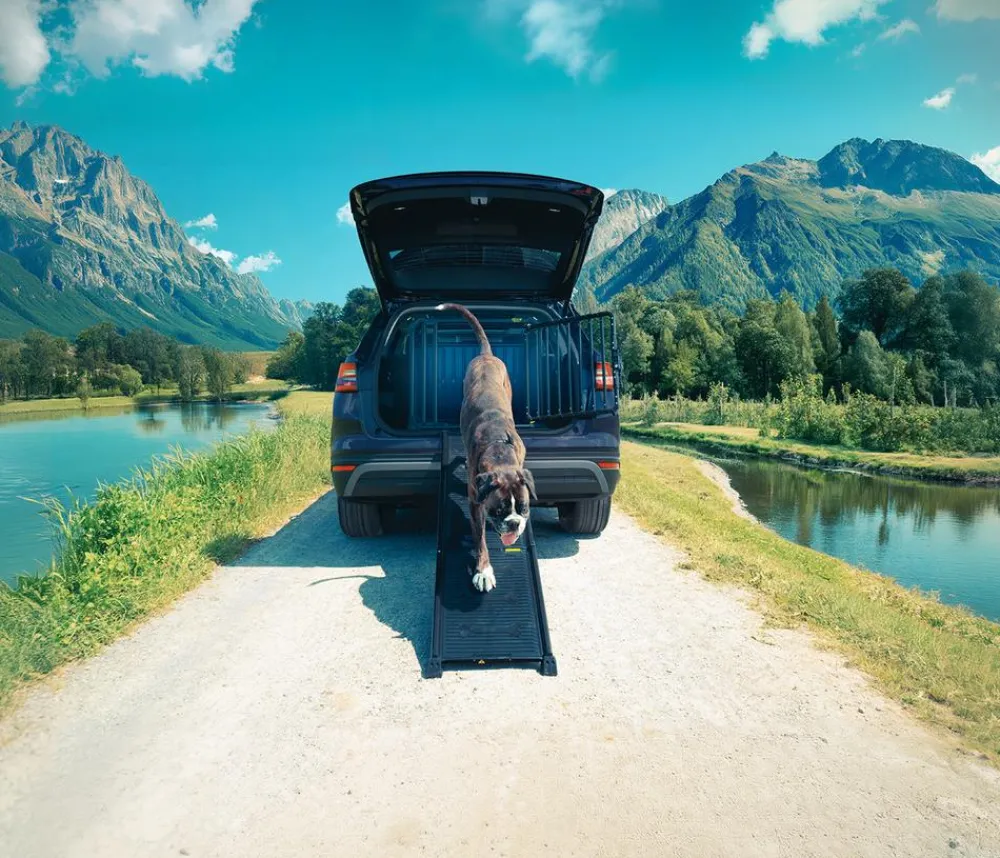 4pets® Mehr Transport & Unterwegs > EasySteps Hunderampe, ca. L69-160 cm