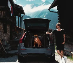 4pets® Hundetransportboxen > Hundetransportbox PRO NOIR Line 4