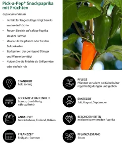 Dehner Pick-a-Pep® Snackpaprika mit Früchten Orange Clearance