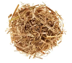 Pilzmännchen Mehr Saatgut > Bio Pilzzuchtset Austernpilz