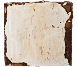 Pilzmännchen Mehr Saatgut > Bio Pilzzuchtset Shiitake-Myzelpatch