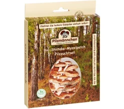 Pilzmännchen Mehr Saatgut > Bio Pilzzuchtset Shiitake-Myzelpatch