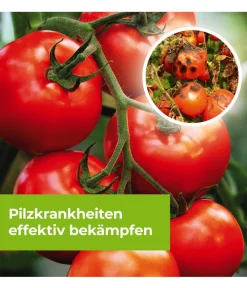 PROTECT GARDEN Pilzmittel - Curamat AZ Rosen-Pilzfrei, flüssig, 15 ml