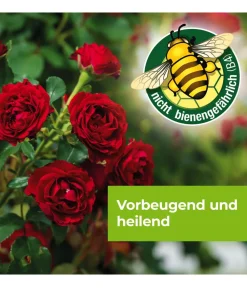 PROTECT GARDEN Pilzmittel - Curamat AZ Rosen-Pilzfrei, flüssig, 2 x 4 ml