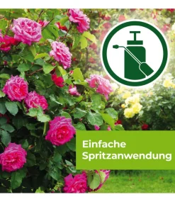 PROTECT GARDEN Pilzmittel - Curamat AZ Rosen-Pilzfrei, flüssig, 2 x 4 ml