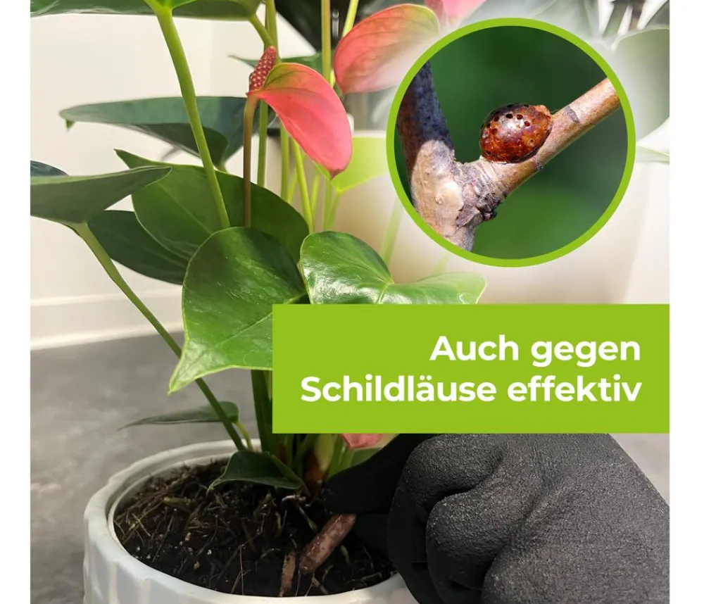 PROTECT GARDEN Schädlingsbekämpfungsmittel > Lizetan Plus Combistäbchen