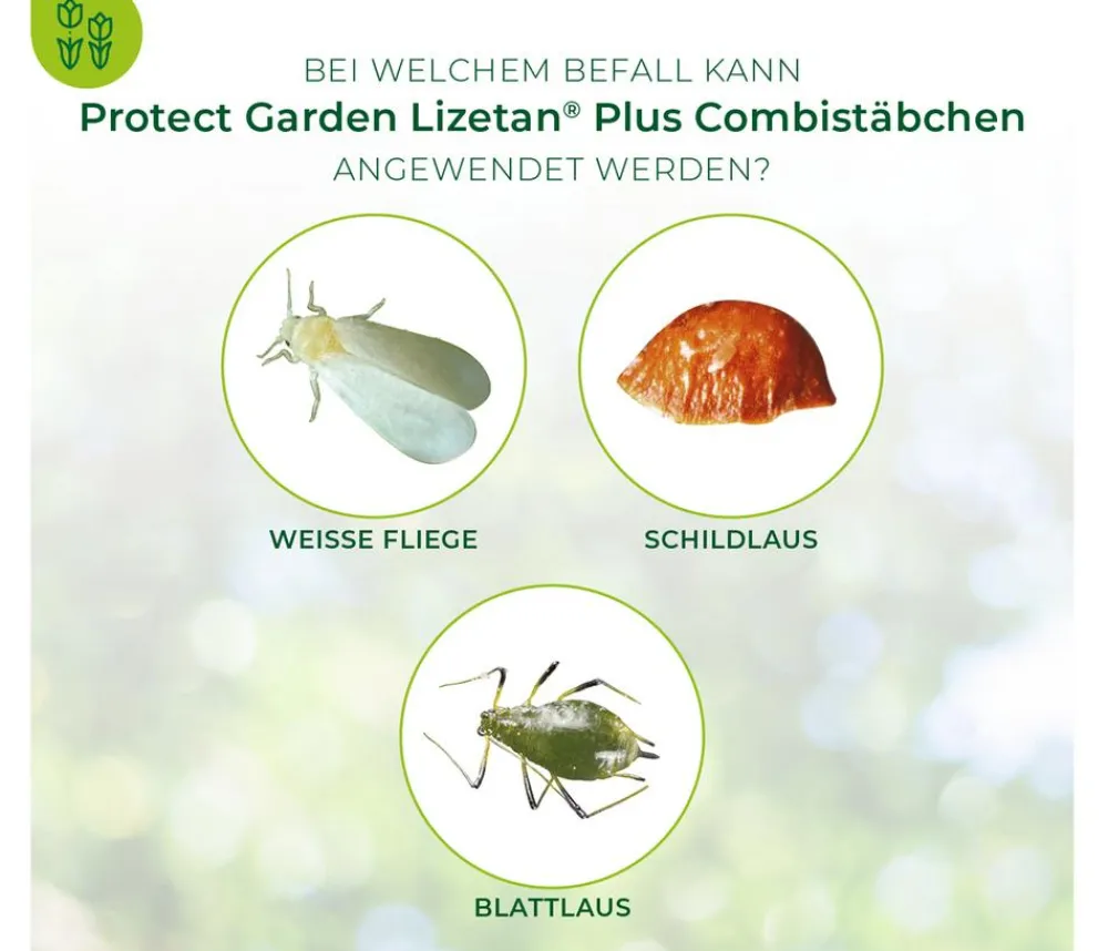 PROTECT GARDEN Schädlingsbekämpfungsmittel > Lizetan Plus Combistäbchen
